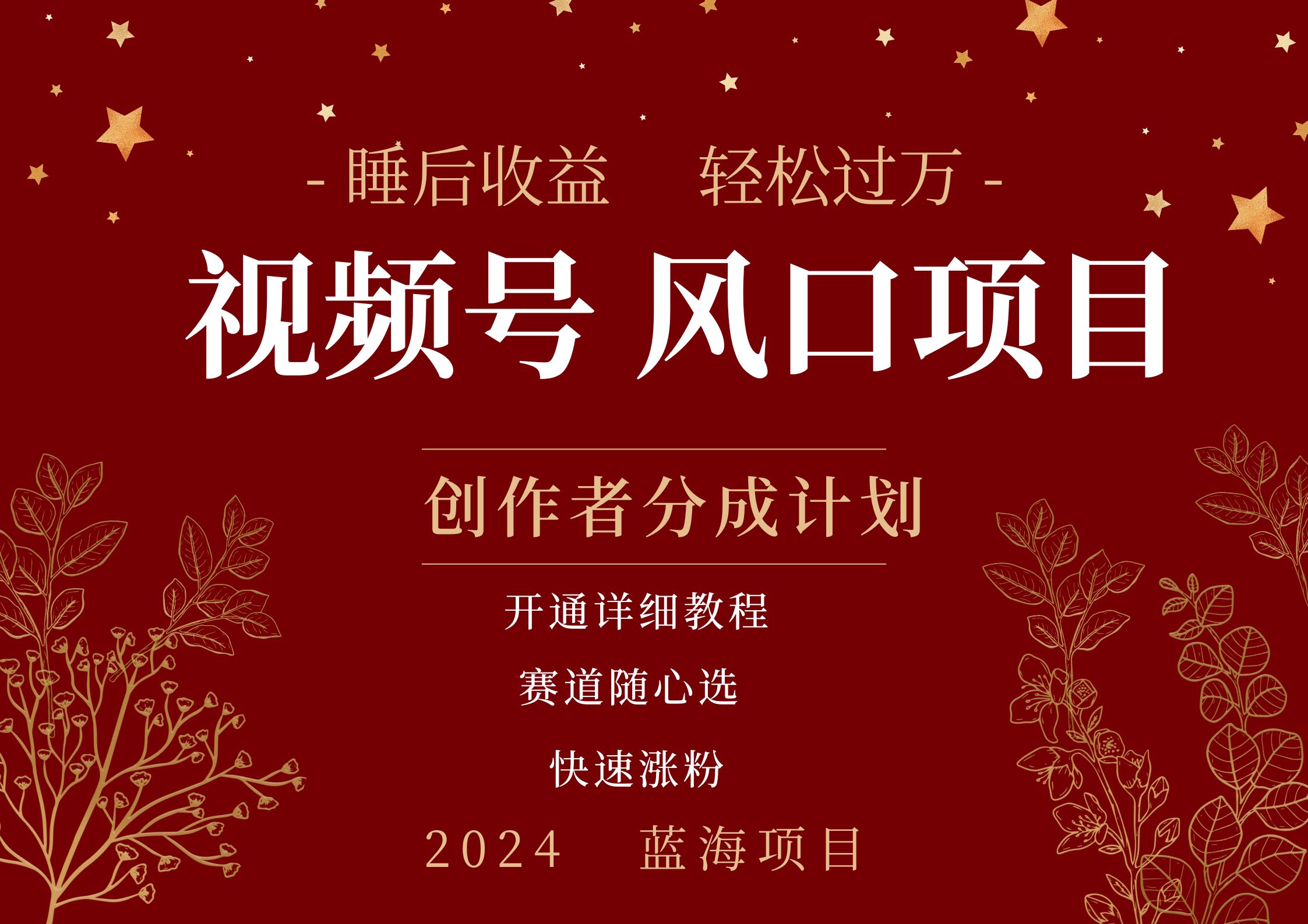 拥有睡眠收益的微信视频号大风口项目，轻松月入过万+，多赛道选择，可矩阵，玩法简单轻松上手-沃创网