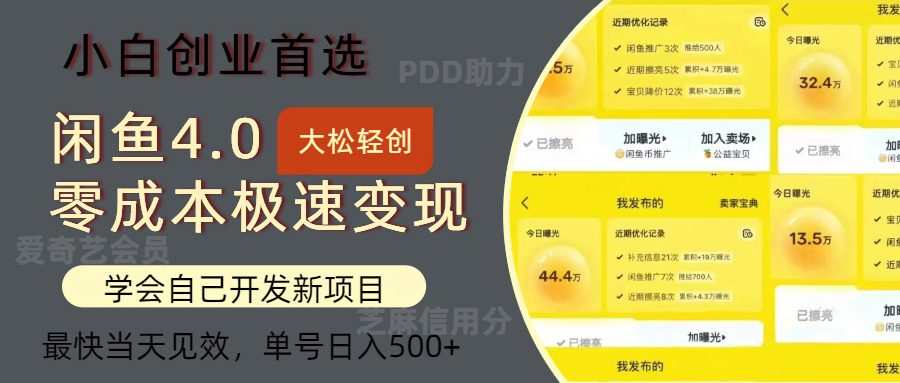 闲鱼0成本极速变现项目，多种变现方式，单号日入500+最新玩法-沃创网