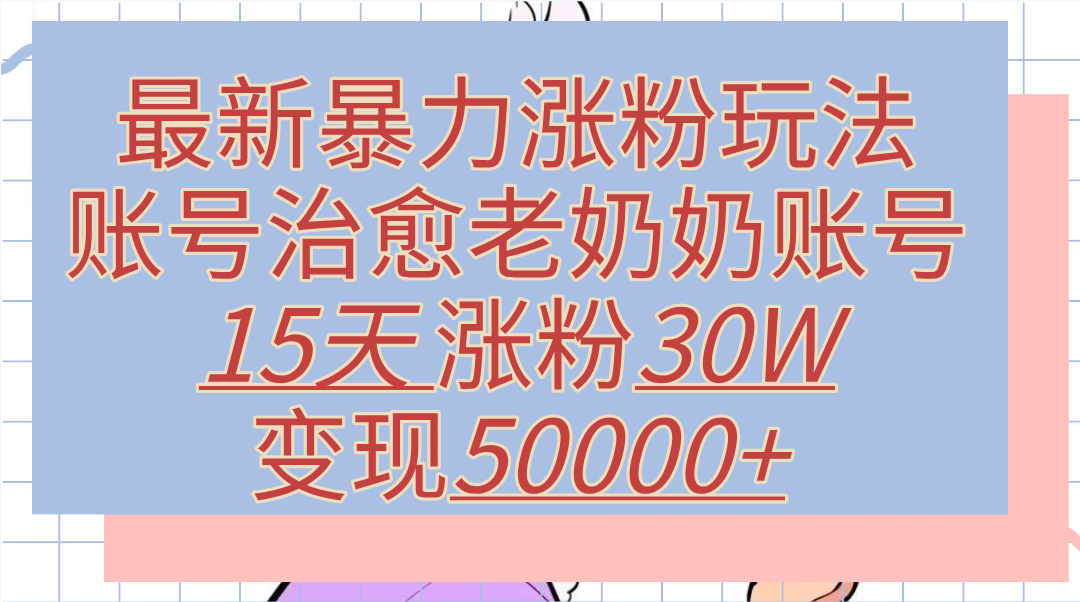 最新暴力涨粉玩法，治愈老奶奶账号，15天涨粉30W，变现50000+【揭秘】-沃创网