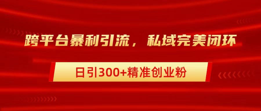 跨平台暴力引流，私域完美闭环，日引300+精准创业粉-沃创网