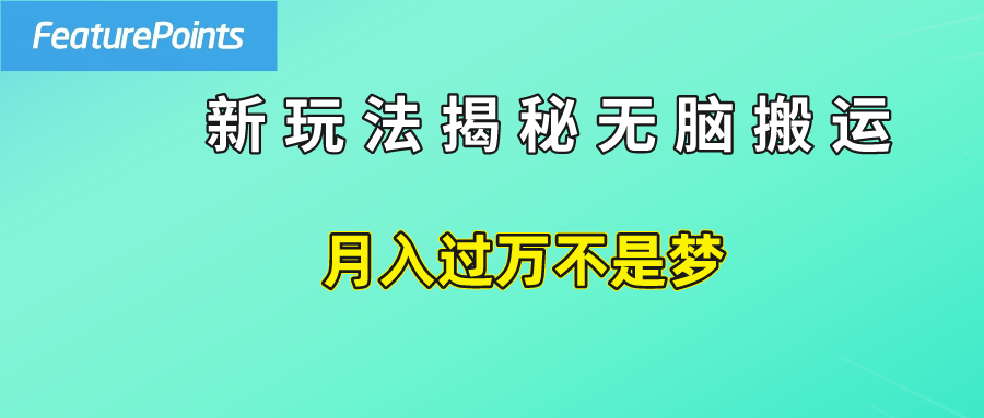 简单操作，每天50美元收入，搬运就是赚钱的秘诀！-沃创网