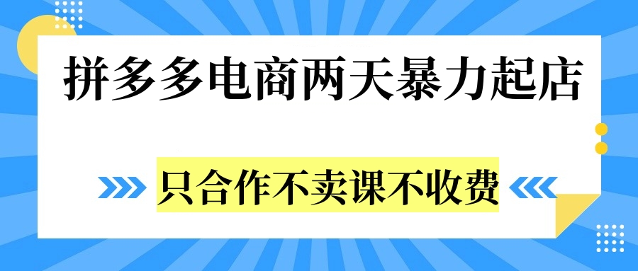 拼多多两天暴力起店，只合作不卖课不收费-沃创网