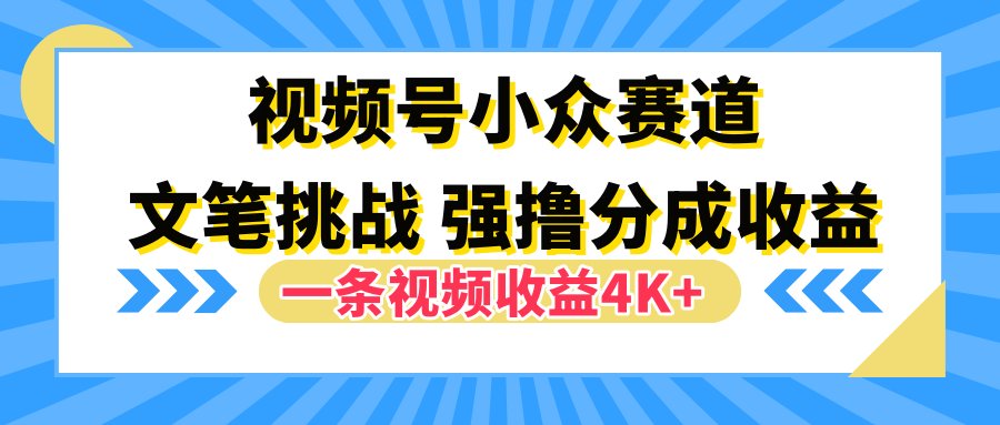 视频号小众赛道，文笔挑战，一条视频收益4K+-沃创网