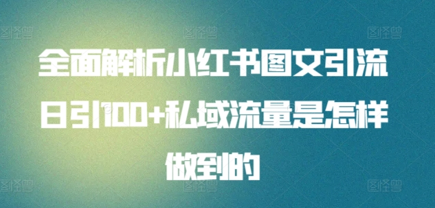 暴力引流 小红书图文引流日引100私域全面拆解【打粉人必看】-沃创网