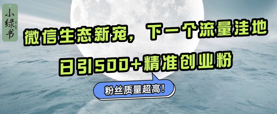 微信生态新宠小绿书：下一个流量洼地，粉丝质量超高，日引500+精准创业粉，-沃创网