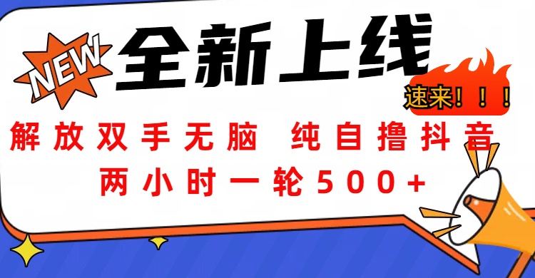 解放双手无脑 纯自撸抖音 两小时一轮500+-沃创网