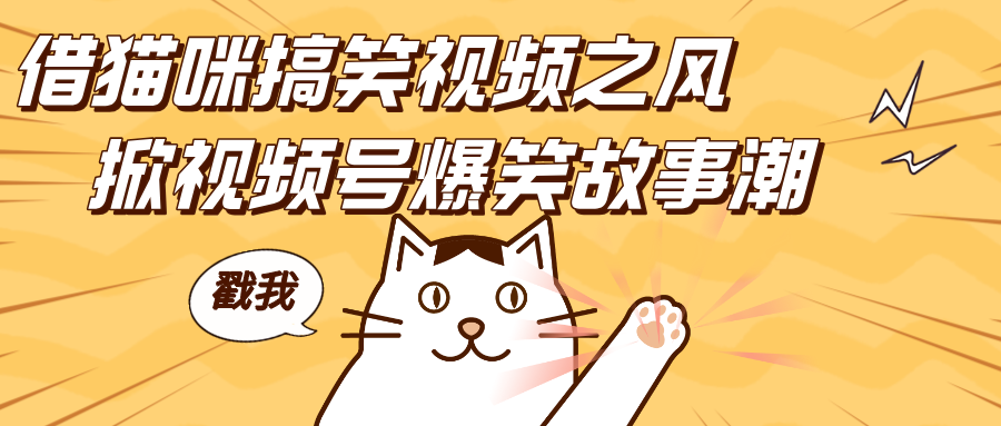 借猫咪搞笑视频之风，掀视频号爆笑故事潮，轻松日赚四位数，开启无门槛赚钱新体验！-沃创网