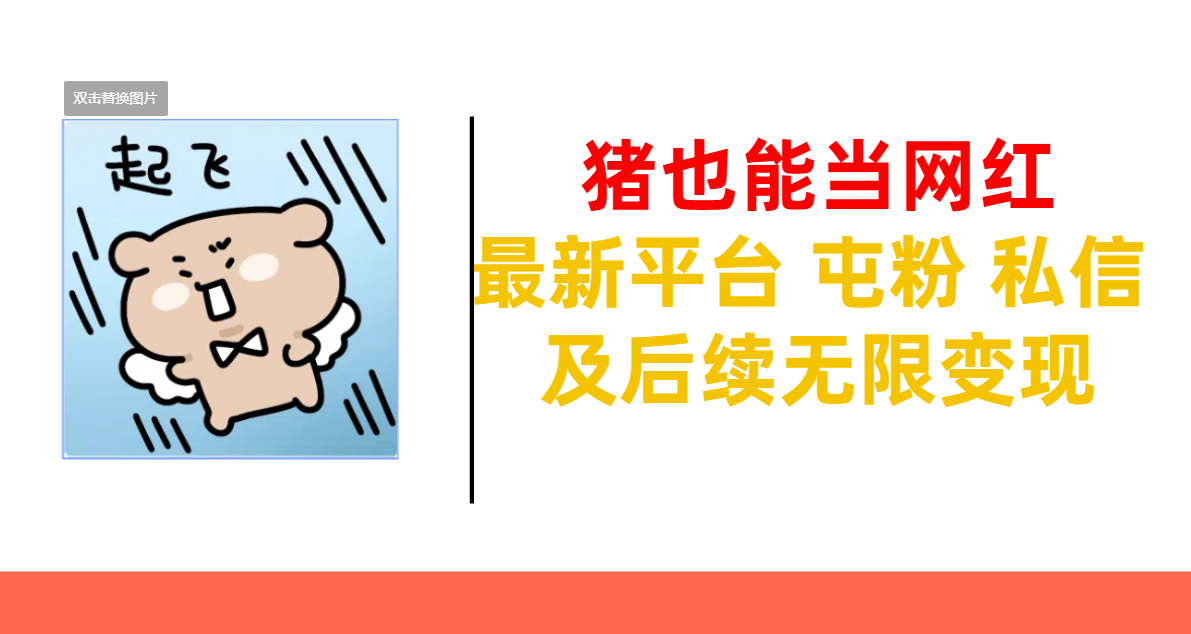 猪也能当网红-最新平台 屯粉 交流 私信 及后续无限变现-沃创网