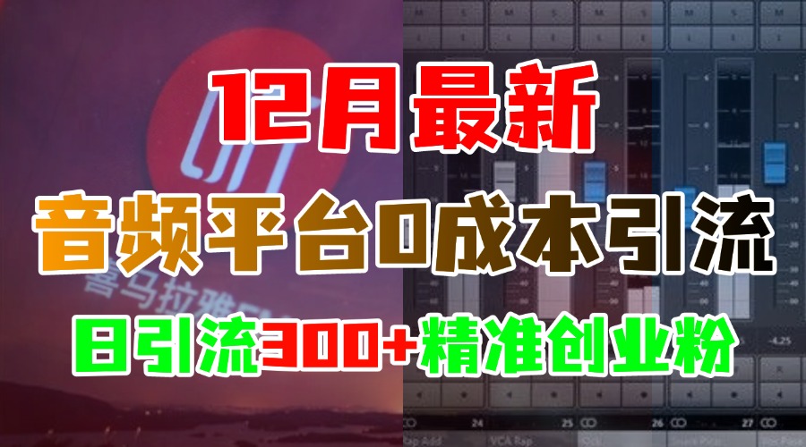 12月最新：音频平台0成本引流，日引300+精准创业粉-沃创网