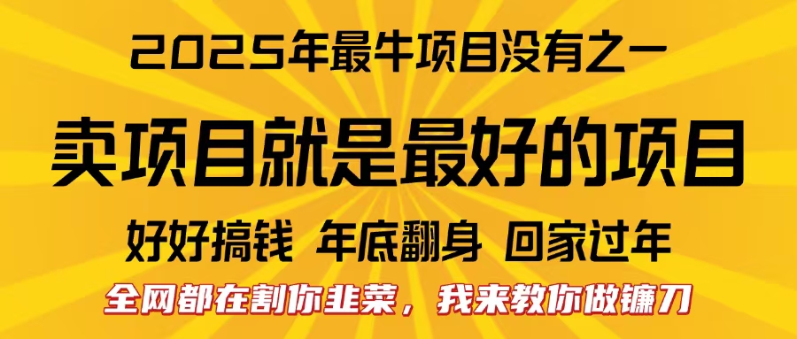 全网都在割你韭菜，我来教你做镰刀。卖项目就是最好的项目，2025年最牛互联网项目-沃创网