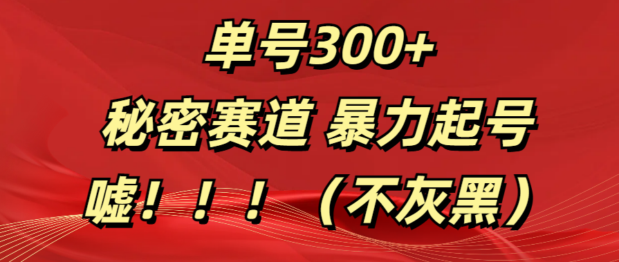 单号300+  秘密赛道 暴力起号  （不灰黑）-沃创网