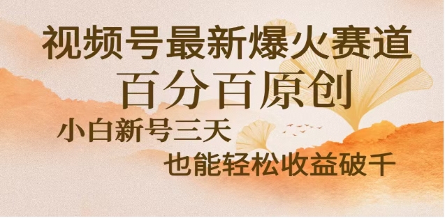 视频号独家玩法，老年养生赛道，无脑搬运爆款视频，日入2000+-沃创网