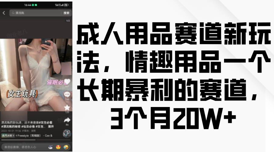 情趣用品一个长期暴利的赛道，成人用品赛道新玩法，3个月20W+-沃创网