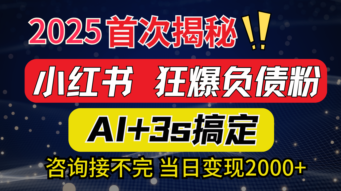 2025引流天花板：最新小红书狂暴负债粉思路，咨询接不断，当日入2000+-沃创网