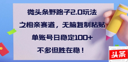全网首发微头条野路子2.0玩法之相亲赛道，无脑搬砖复制粘贴，单账号日稳定300+保姆级教程-沃创网