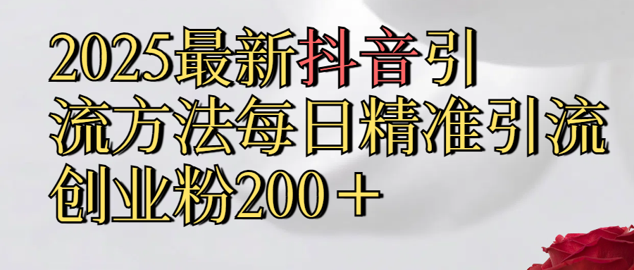 2025最新,抖音引流,方法每日精准引流创业粉300＋-沃创网