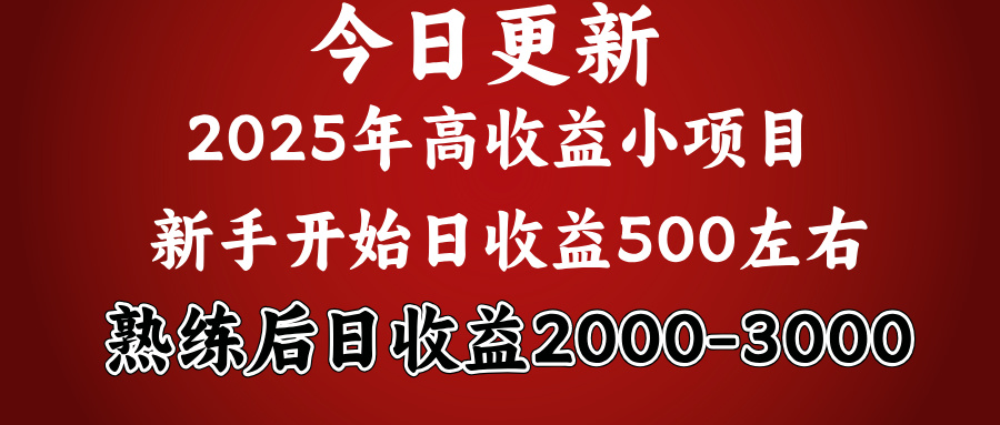 2025开年好项目，新手日收益500+ 熟练掌握后，日收益平均2000多-沃创网