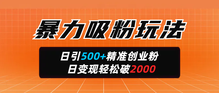 暴力吸粉玩法，日引500+精准创业粉，日变现轻松破2000-沃创网