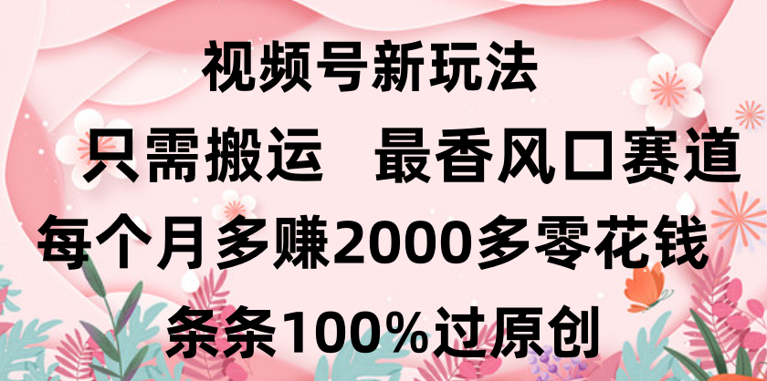 日入2000+，条条100%过原创，视频号最香风口赛道，小白轻松上手-沃创网