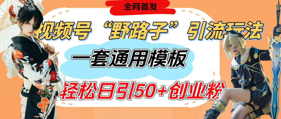 视频号“野路子”玩法，评论区疯狂截流，一套模板单日单号引流50+创业粉-沃创网