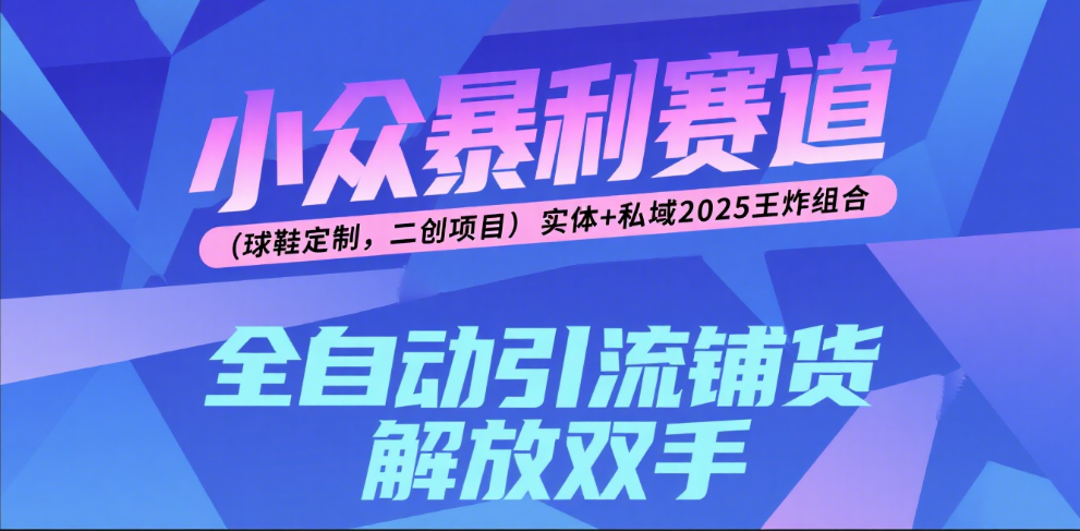 楠—小众暴利赛道（球鞋定制，二创项目）实体+私域2025王炸组合-沃创网