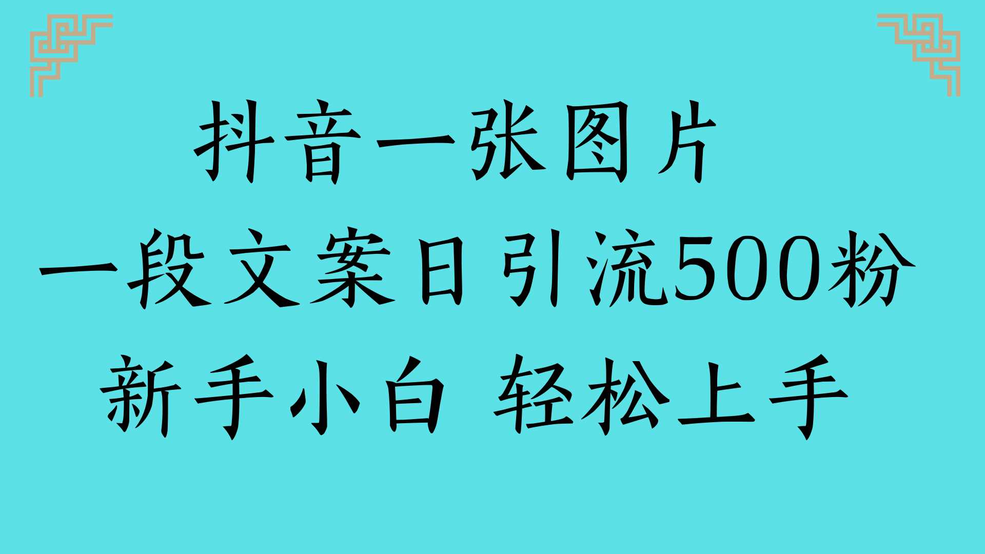 抖音一张图片 一段文案日引流500粉新手小白 轻松上手-沃创网