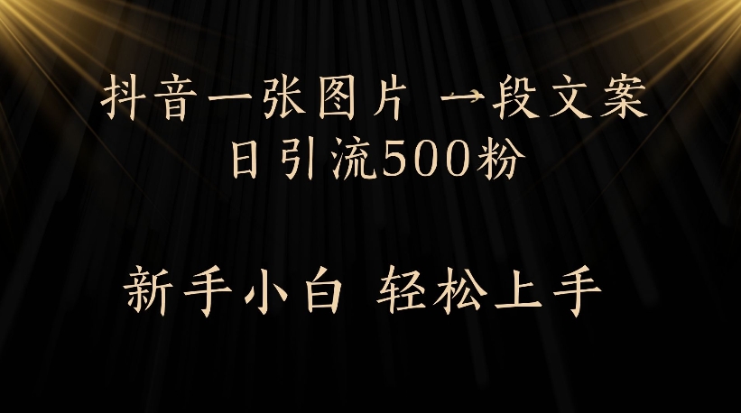 抖音一张图片，一段文案日引流500粉，新手小白 轻松上手-沃创网