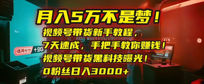 月入5万不是梦！视频号带货新手教程，7天速成，手把手教你赚钱！视频号带货黑科技曝光！0粉丝日入3000+-沃创网