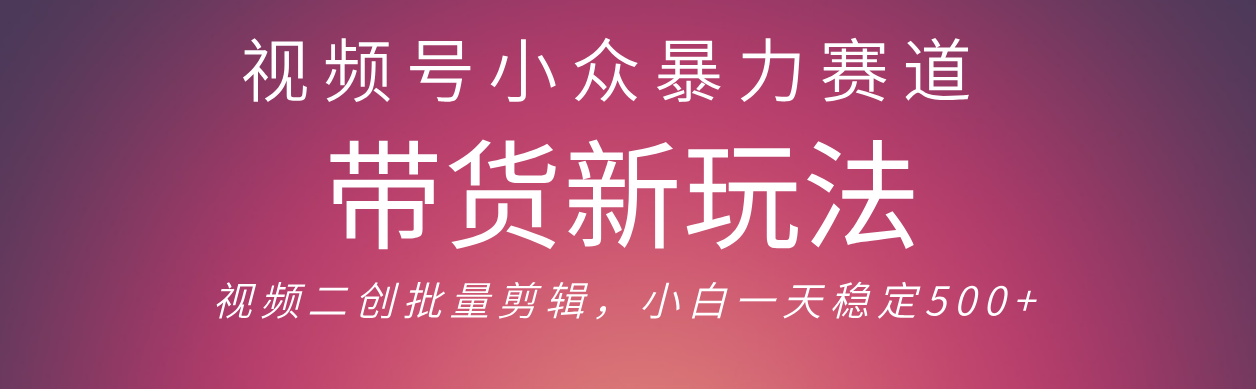 视频号小众暴力赛道，最新带货玩法 小白也能轻松日入500+ 保姆及教程-沃创网