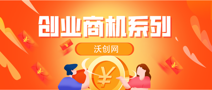 【虚拟资源网站搭建服务】加盟本站系统，做一个和本站一样的独立网站，躺赚的项目插图