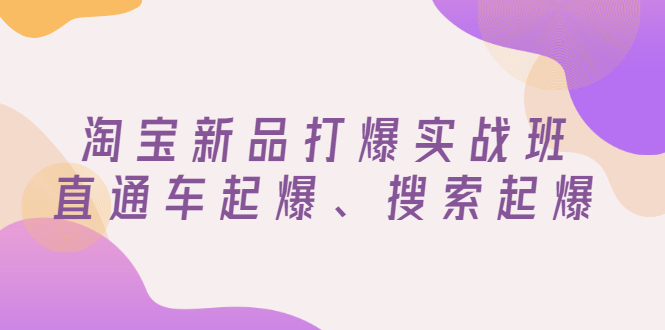 【副业项目3372期】淘宝新品打爆实战班（淘宝店铺如何增加流量和访客）-沃创网