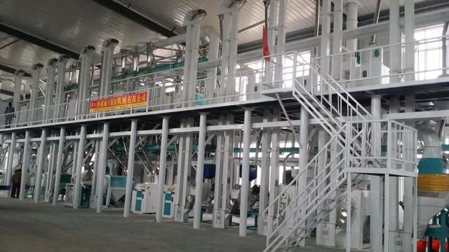 五十吨玉米深加工项目赚钱吗？小型玉米深加工项目有哪些？-沃创网