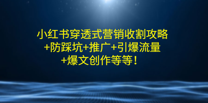 【副业项目3458期】小红书穿透式营销收割攻略+防踩坑+推广+引爆流量+爆文创作（小红书的营销方法策略）-沃创网