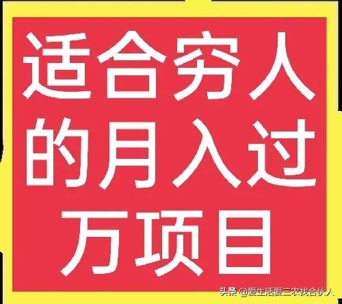 适合农村人做的赚钱项目（在农村做什么项目好）-沃创网