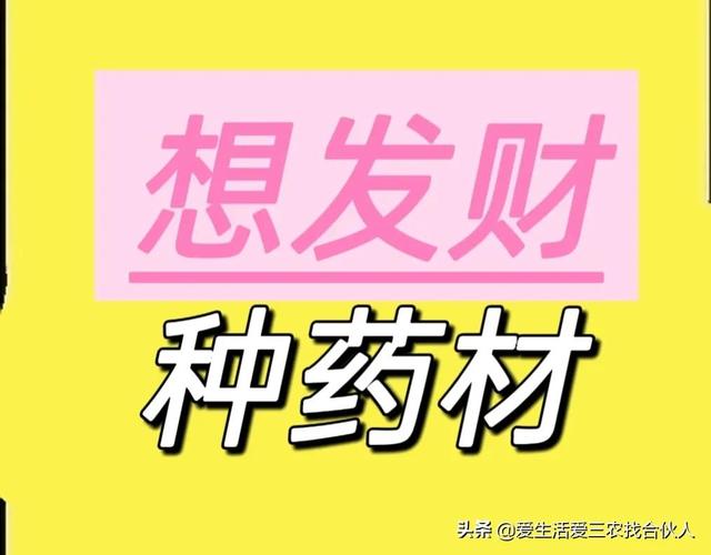 农村种植什么利润高（种什么药材最赚钱农村2022年）-沃创网