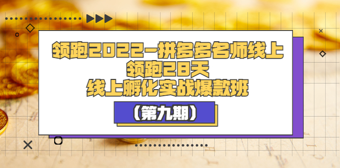 【副业项目3821期】拼多多名师线上领跑28天，拼多多线上孵化实操爆款班（第九期）-沃创网