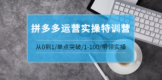 【副业项目3863期】拼多多运营实操特训营：拼多多直通车进阶优化技巧，拼多多如何操作利润最大化-沃创网
