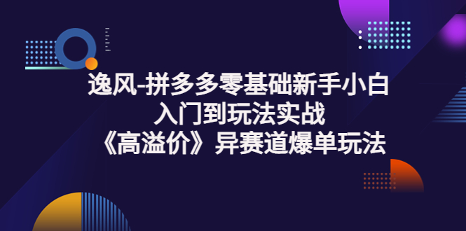 【副业项目3877期】逸风-拼多多新手小白入门到玩法实战，异赛道爆单玩法实操课-沃创网