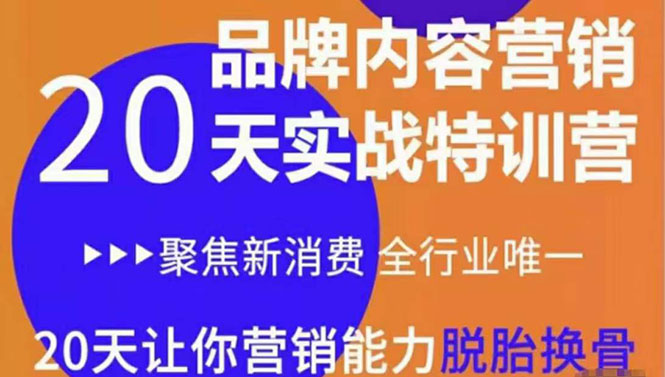 【副业项目3899期】《内容营销实操特训营》20天让你营销能力脱胎换骨（价值3999）-沃创网