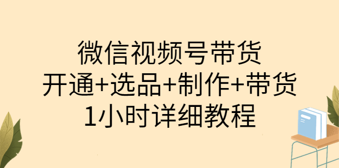 【副业项目3940期】陈奶爸·微信视频号带货：开通+选品+制作+带货（1小时详细教程）-沃创网