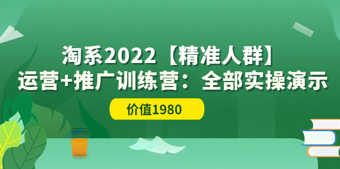 【副业项目3941期】淘系2022【精准人群】运营+推广训练营：全部实操演示-沃创网