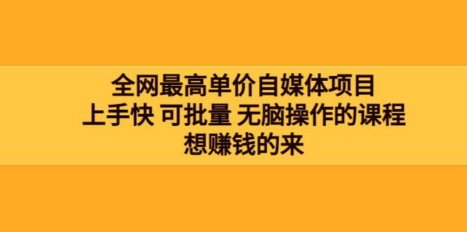 【副业项目3976期】全网最单高价自媒体项目：上手快 可批量 无脑操作的课程，想赚钱的来-沃创网