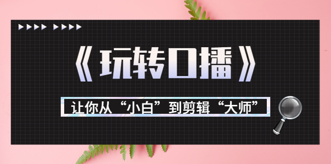 【副业项目3987期】月营业额700万+大佬教您《玩转口播》让你从“小白”到剪辑“大师”-沃创网