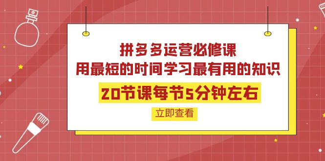 【副业项目4189期】拼多多运营必修课：20节课每节5分钟左右，用最短的时间学习最有用的知识-沃创网