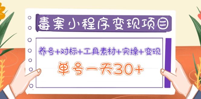 【副业项目4214期】图文案小程序变现项目：养号+对标+工具素材+实操+变现，单号一天30+-沃创网
