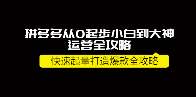 【副业项目4227期】拼多多从0起步小白到大神运营全攻略，快速起量打造10W+爆款全攻略-沃创网