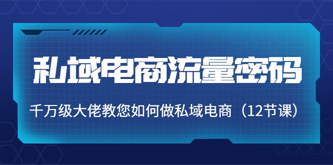 【副业项目4297期】私域电商流量密码：千万级大佬教您如何做私域电商（12节课）-沃创网