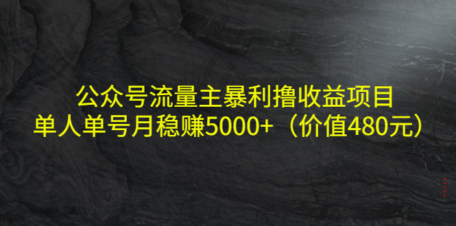 【副业项目4325期】公众号流量主暴利撸收益项目，单人单号月稳赚5000+（价值480元-沃创网