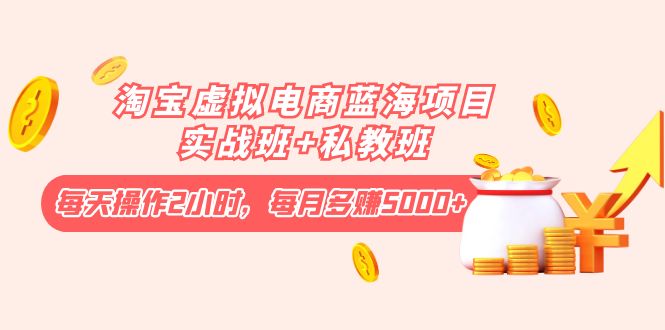 【副业项目4366期】淘宝虚拟电商蓝海项目实战班+私教班：每天操作2小时，每月多赚5000+-沃创网