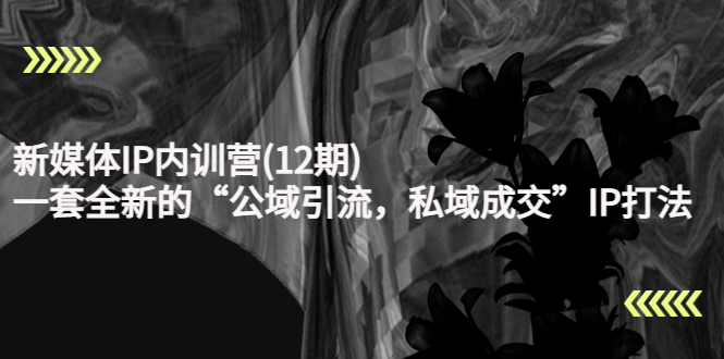 【副业项目4405期】新媒体IP内训营(12期)：一套全新的“公域引流，私域成交”IP打法，直接带走-沃创网